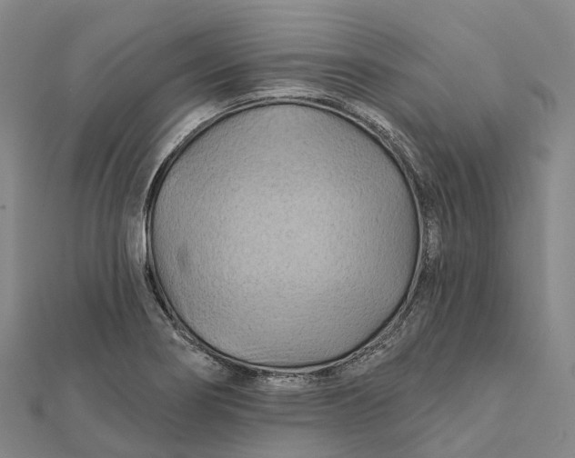 X0000112101274200908251142