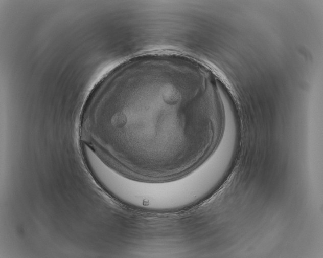 X0000112101277200908251141