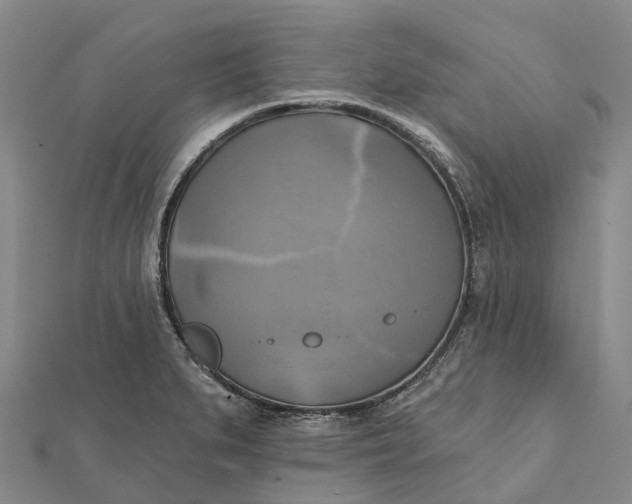 X0000112101279200908251141