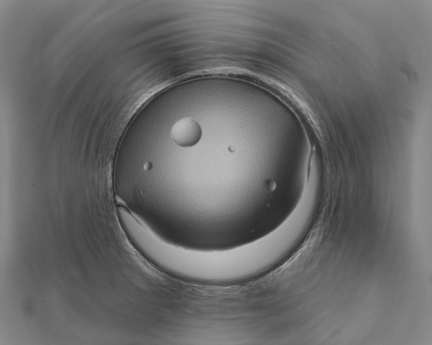 X0000112101281200908251141