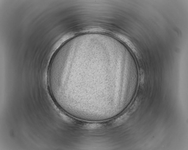 X0000112101282200908251141