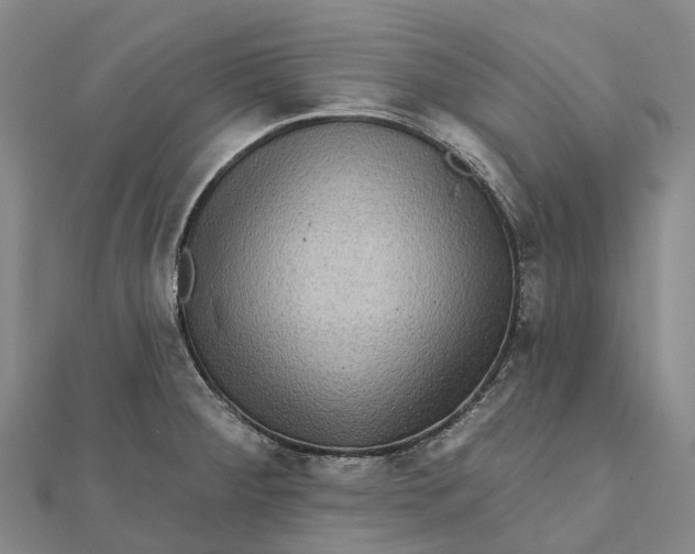 X0000112101284200908251141