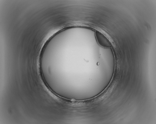 X0000112101285200908251141