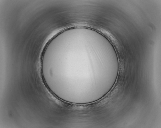 X0000112101286200908251141