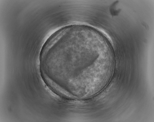 X0000112101287200908251141