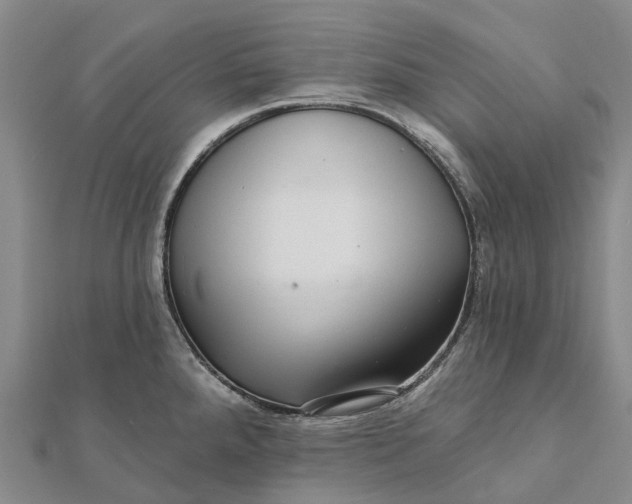 X0000112101288200908251141