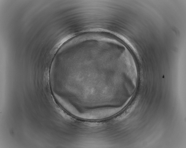 X0000112101289200908251141