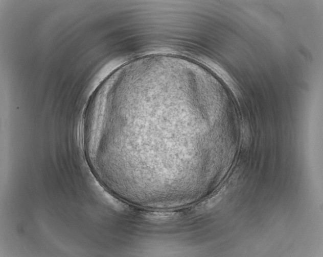 X0000112101290200908251141