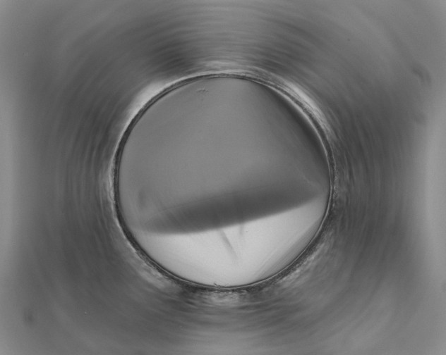 X0000112101291200908251141