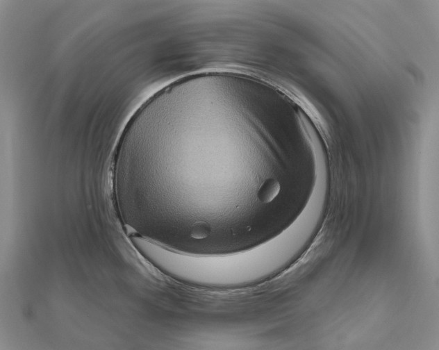 X0000112101292200908251141