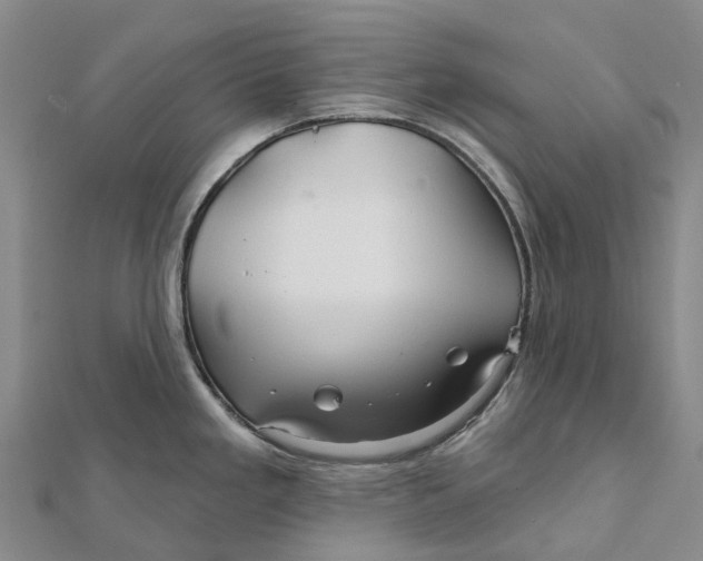 X0000112101293200908251141