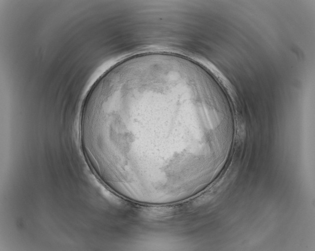 X0000112101294200908251141