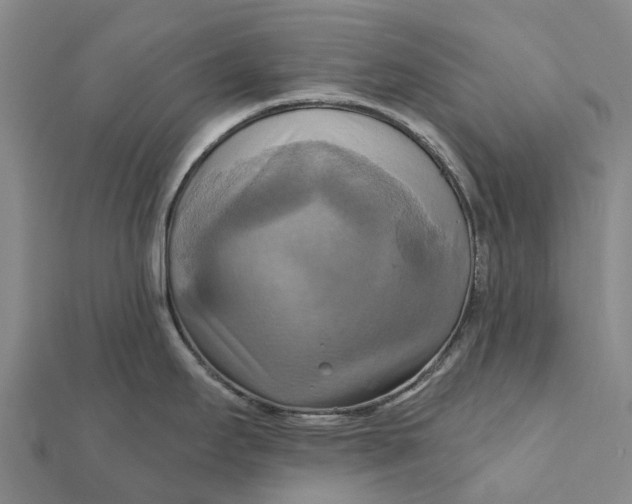 X0000112101295200908251141