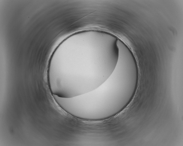 X0000112101296200908251141