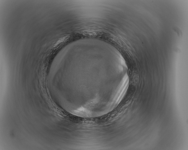 X0000112101297200908251140