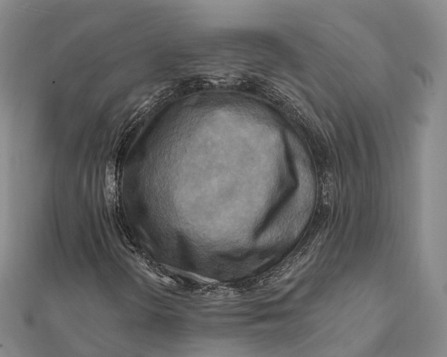 X0000112101298200908251140