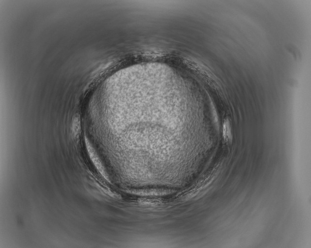 X0000112101299200908251140