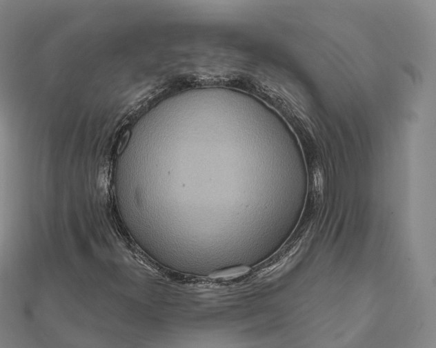 X0000112101300200908251140