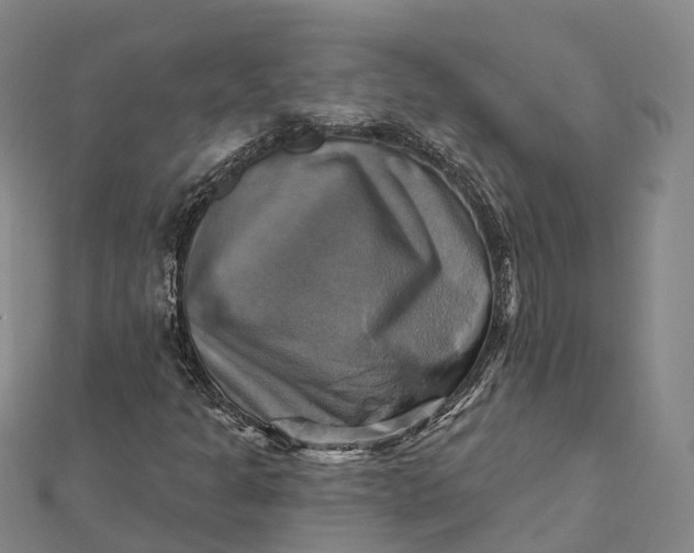 X0000112101301200908251140