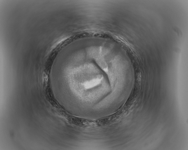 X0000112101302200908251141