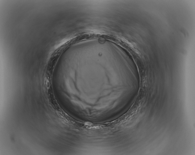 X0000112101303200908251141