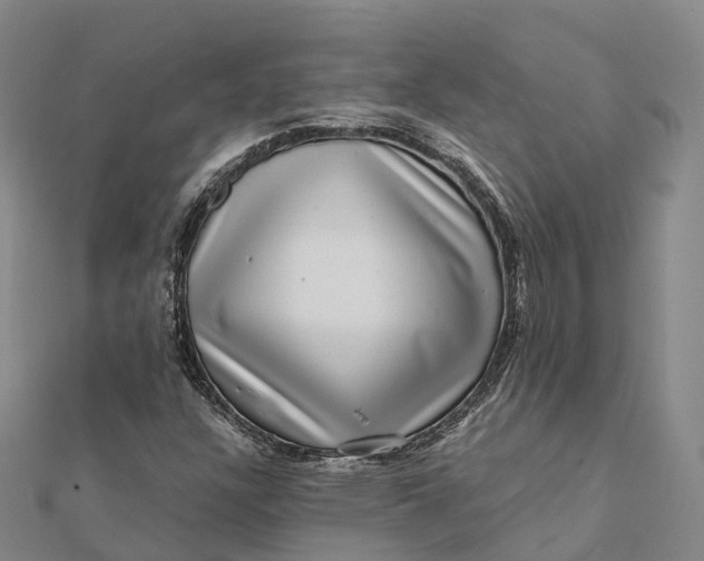 X0000112101304200908251141