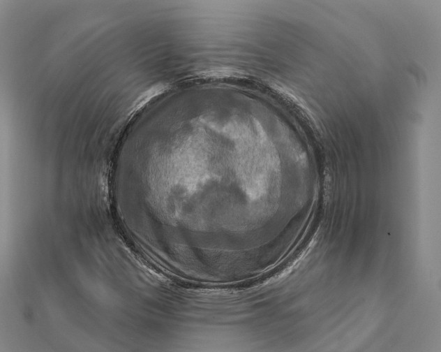 X0000112101305200908251141