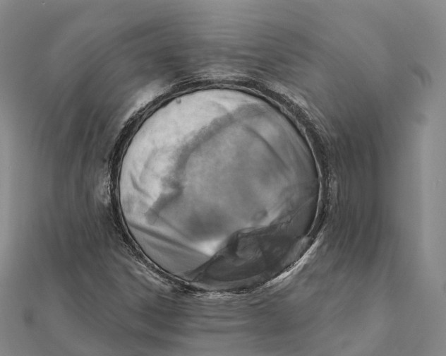 X0000112101306200908251141