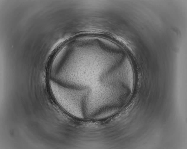 X0000112101307200908251141