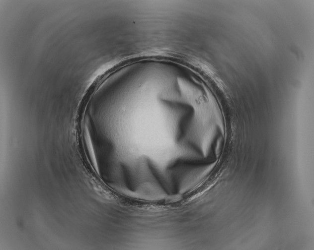 X0000112101308200908251141