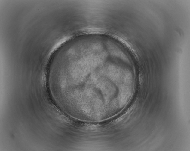 X0000112101309200908251141