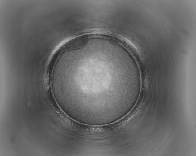 X0000112101310200908251141