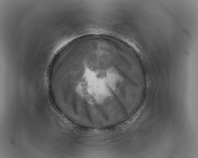 X0000112101311200908251141