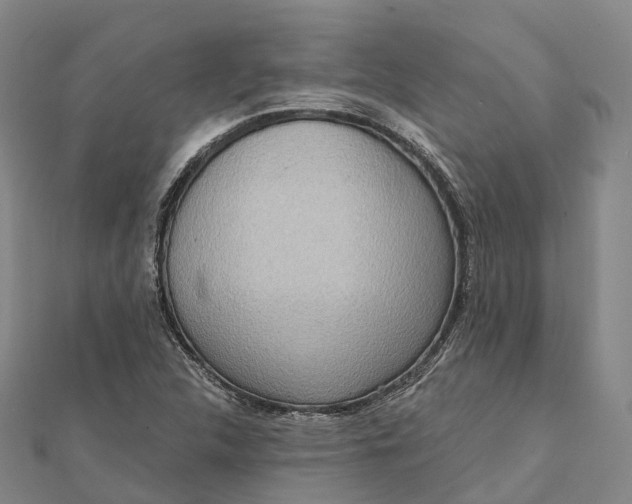 X0000112101312200908251141