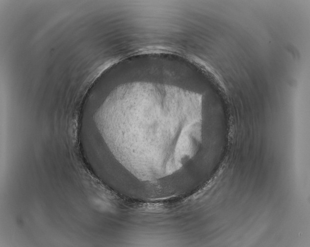 X0000112101313200908251141