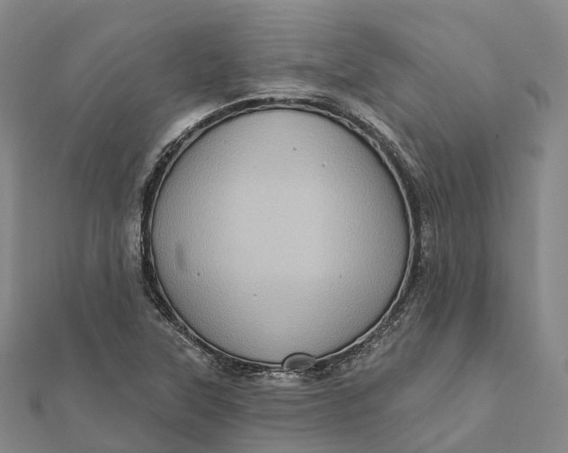 X0000112101315200908251141