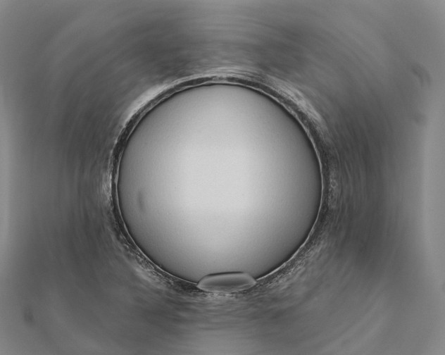 X0000112101316200908251141