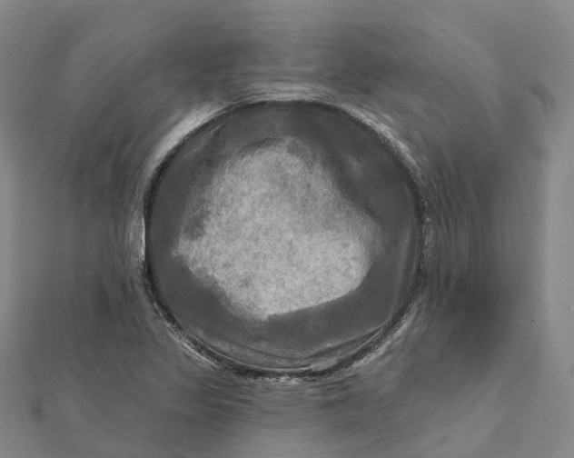 X0000112101317200908251141