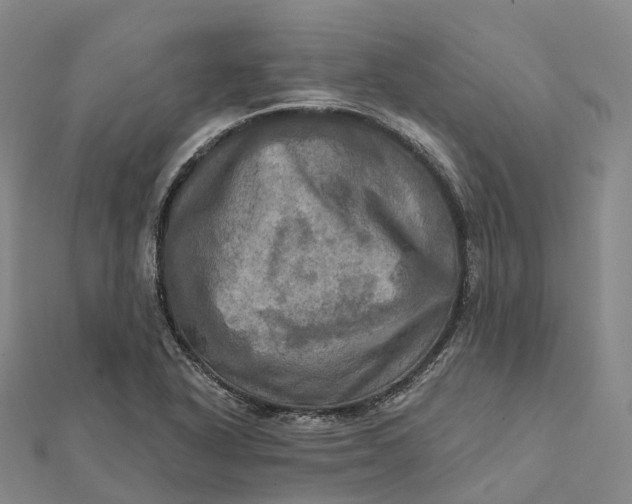 X0000112101318200908251141