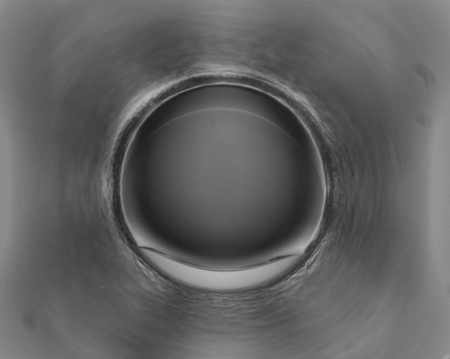 X0000112101319200908251141