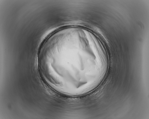 X0000112101320200908251141