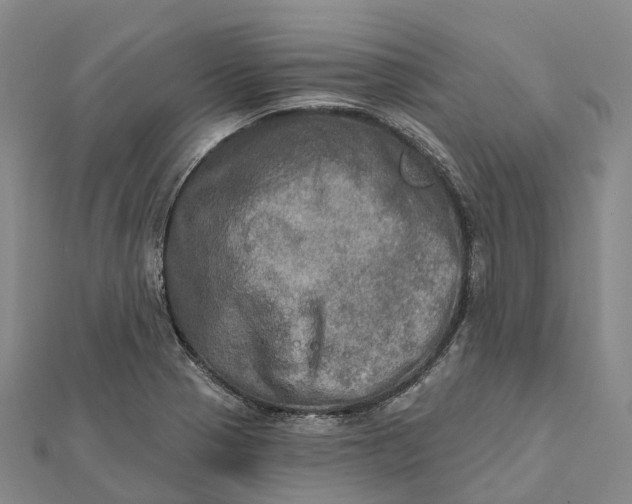 X0000112101321200908251141