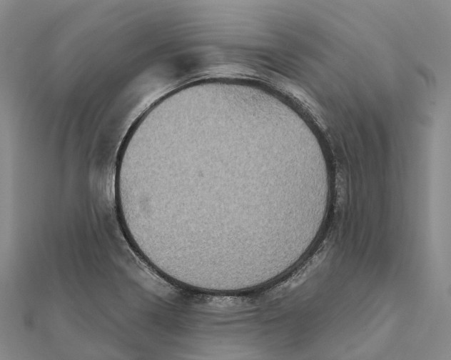 X0000112101322200908251141