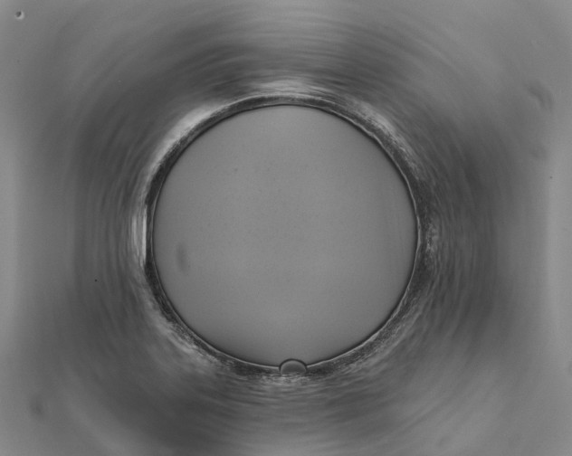 X0000112101323200908251141