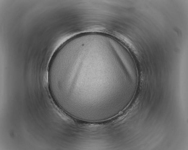 X0000112101324200908251141