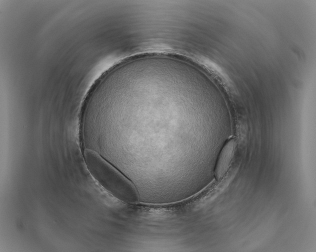 X0000112101326200908251141