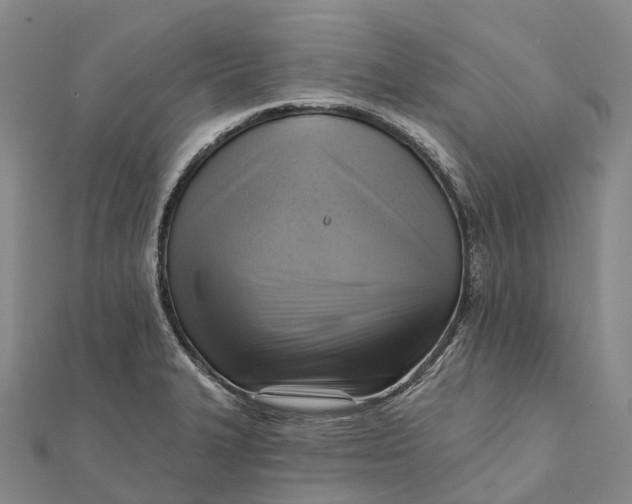 X0000112101327200908251141