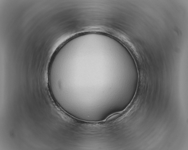 X0000112101328200908251141