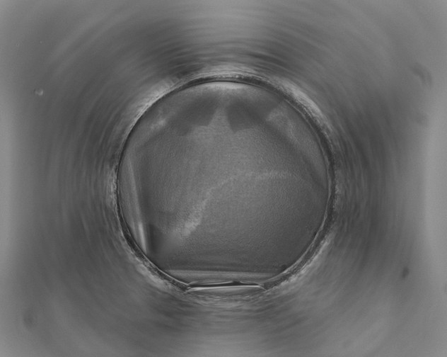 X0000112101329200908251141