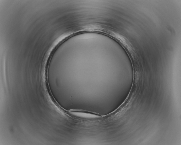 X0000112101331200908251141